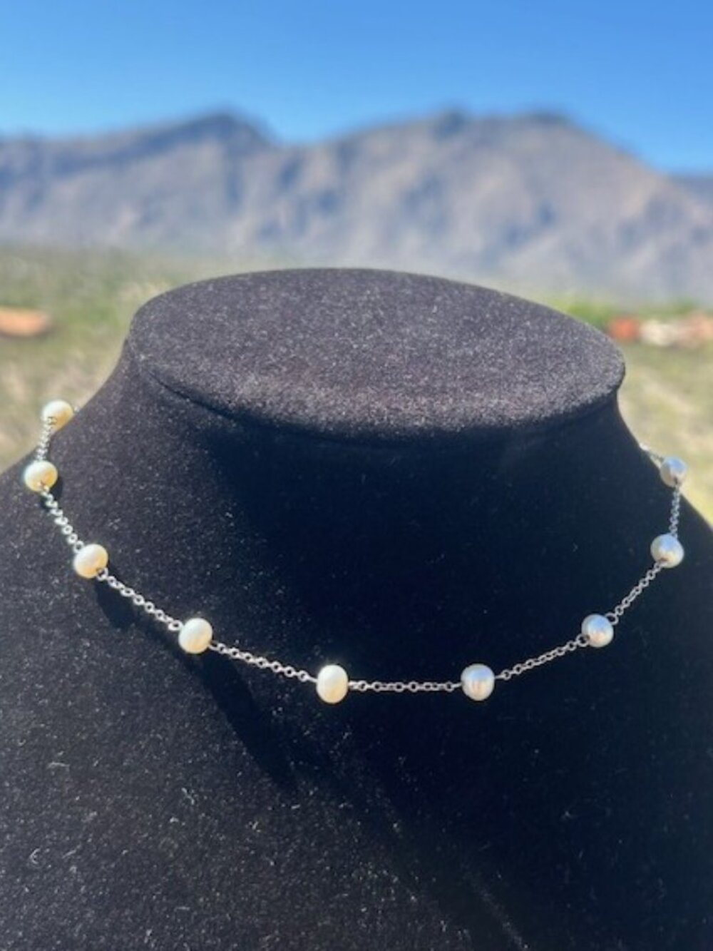 CAROLEE Sterling Silver Freshwater Pearl & Toggle Clasp NECKLACE